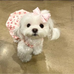 Meet your Posher, That_sleepless_weeb